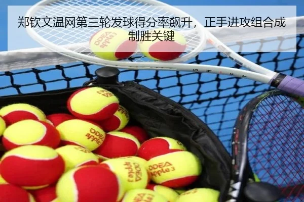 zheng-qin-wen-wen-wang-di-san-lun-fa-qiu-de-fen-lv-biao-sheng-zheng-shou-jin-gong-zu-he-cheng-zhi-sheng-guan-jian-3-284.jpg